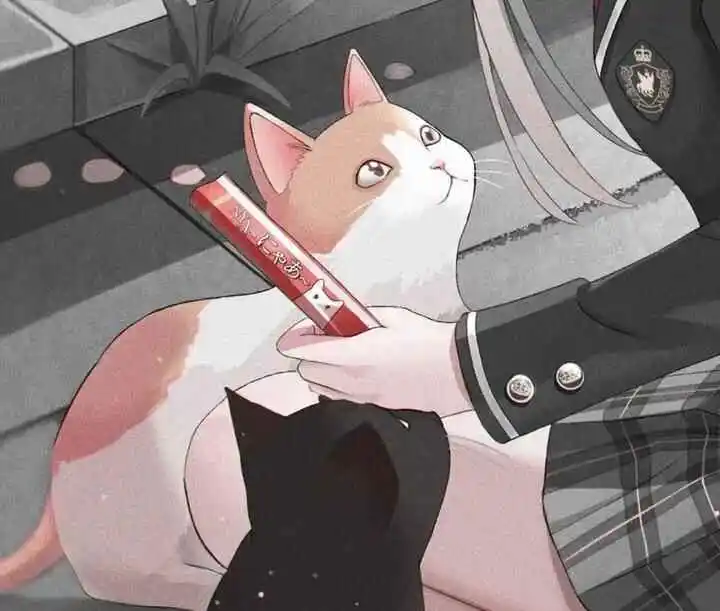 西檬之家k8猫系是什么属性? 一
