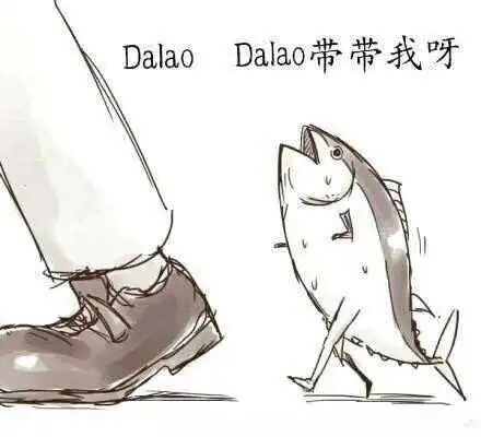 西檬之家字母圈k8猫系是什么? 一