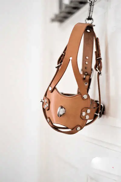 西檬之家DS关系入门指南 一