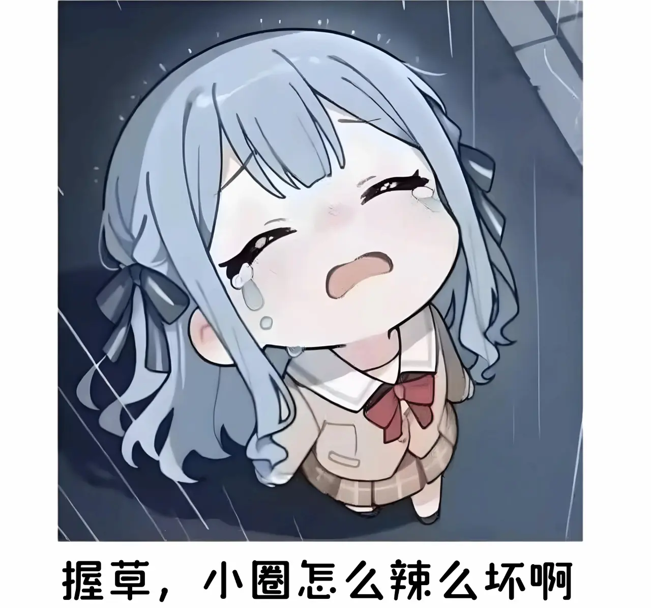 西檬之家K9是什么?字母圈新人入圈 一