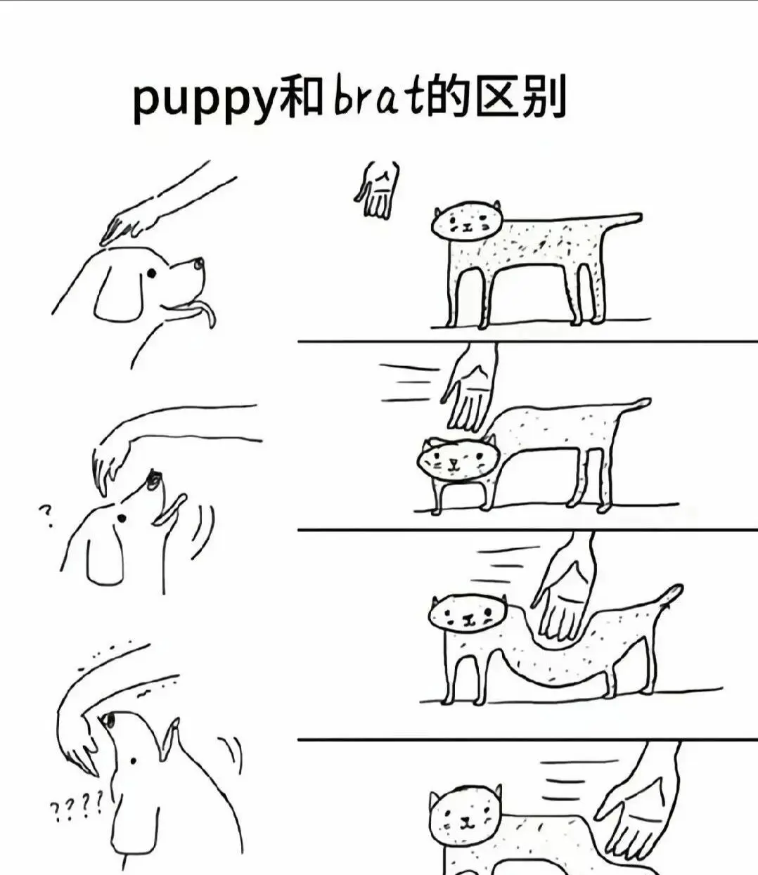 西檬之家BDSM是什么?新人入圈指南 一