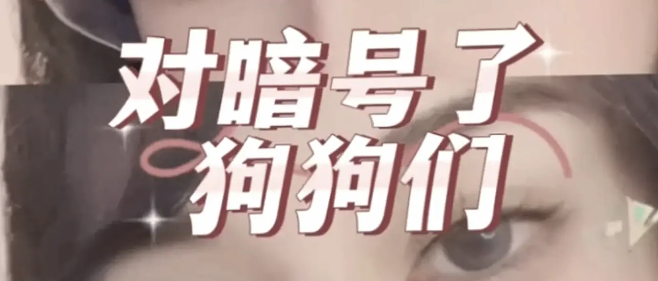 西檬之家字母圈的K9犬系是什么意思? 一
