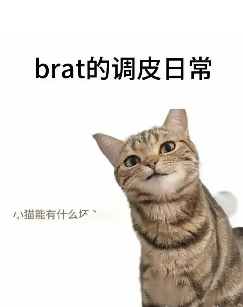 西檬之家TK挠痒是什么?字母圈新人的入门指南 一