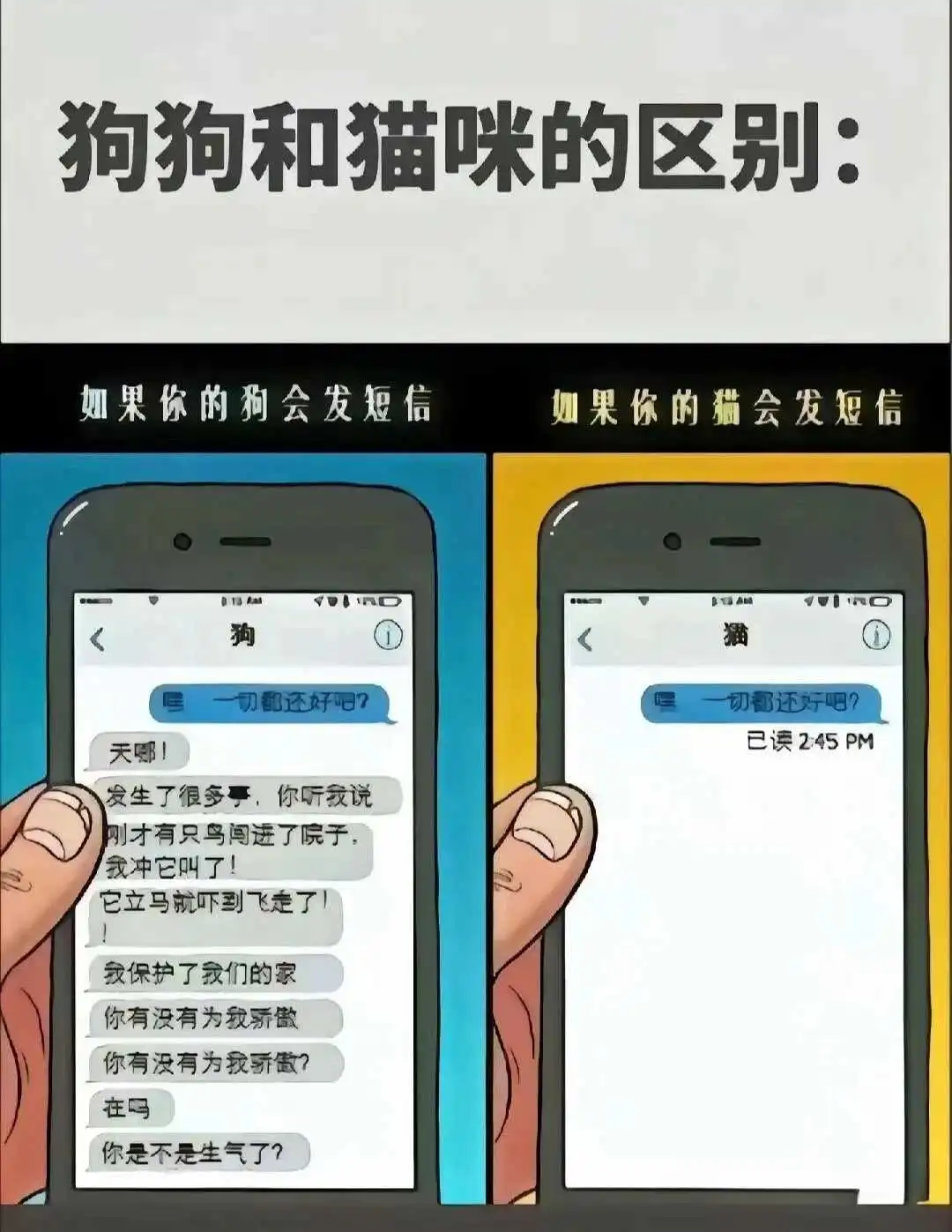 西檬之家DS关系:支配与臣服的信任契约 一