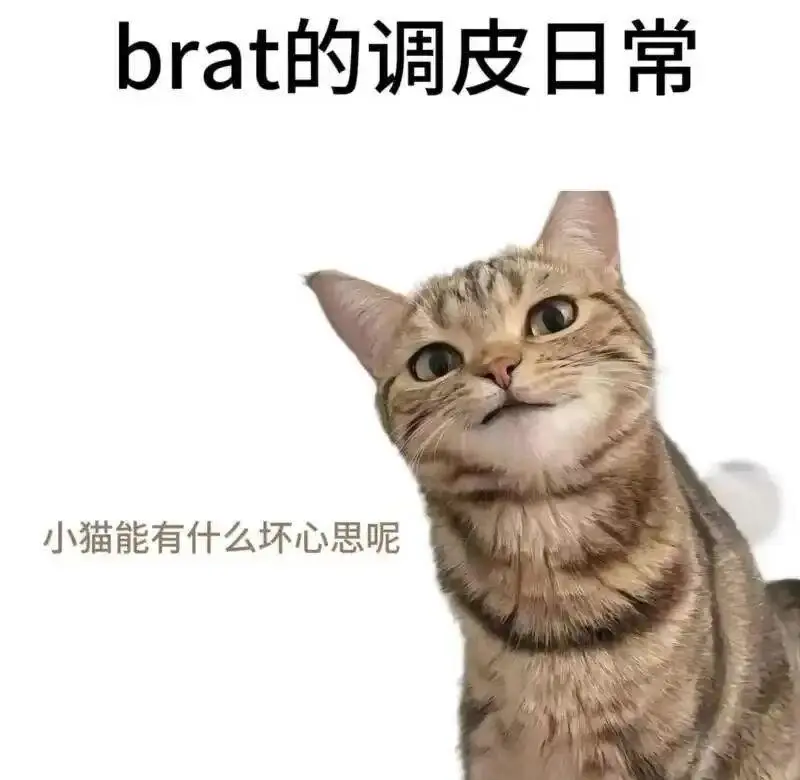 西檬之家字母圈的Aftercare是什么意思? 一