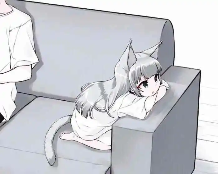 西檬之家k8猫系是什么?字母圈属性详解 一