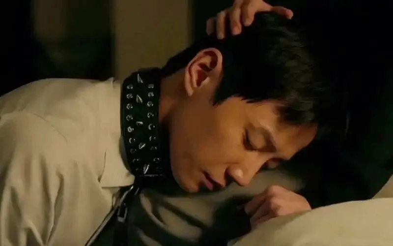 西檬之家BDSM入圈指南是什么? 一