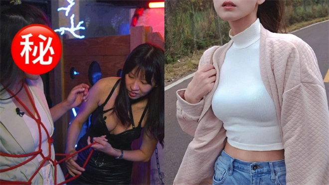 西檬之家m倾向深度解析 一
