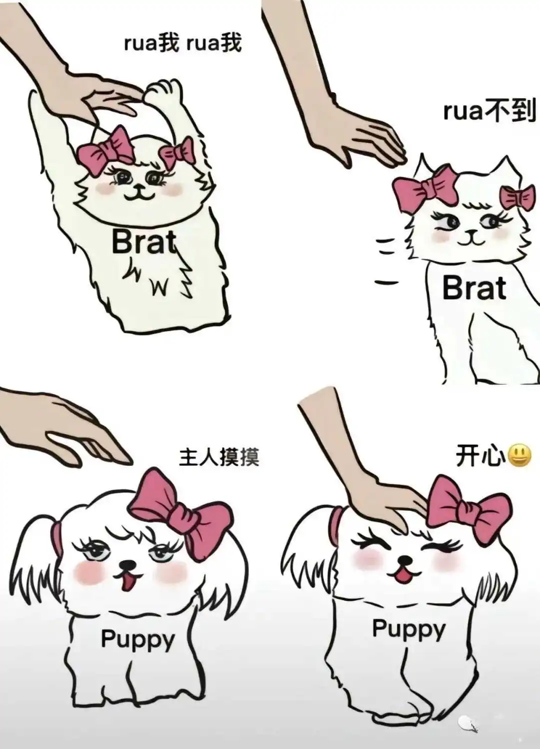 西檬之家k8猫系是什么?你是傲娇系还是宠物系? 一