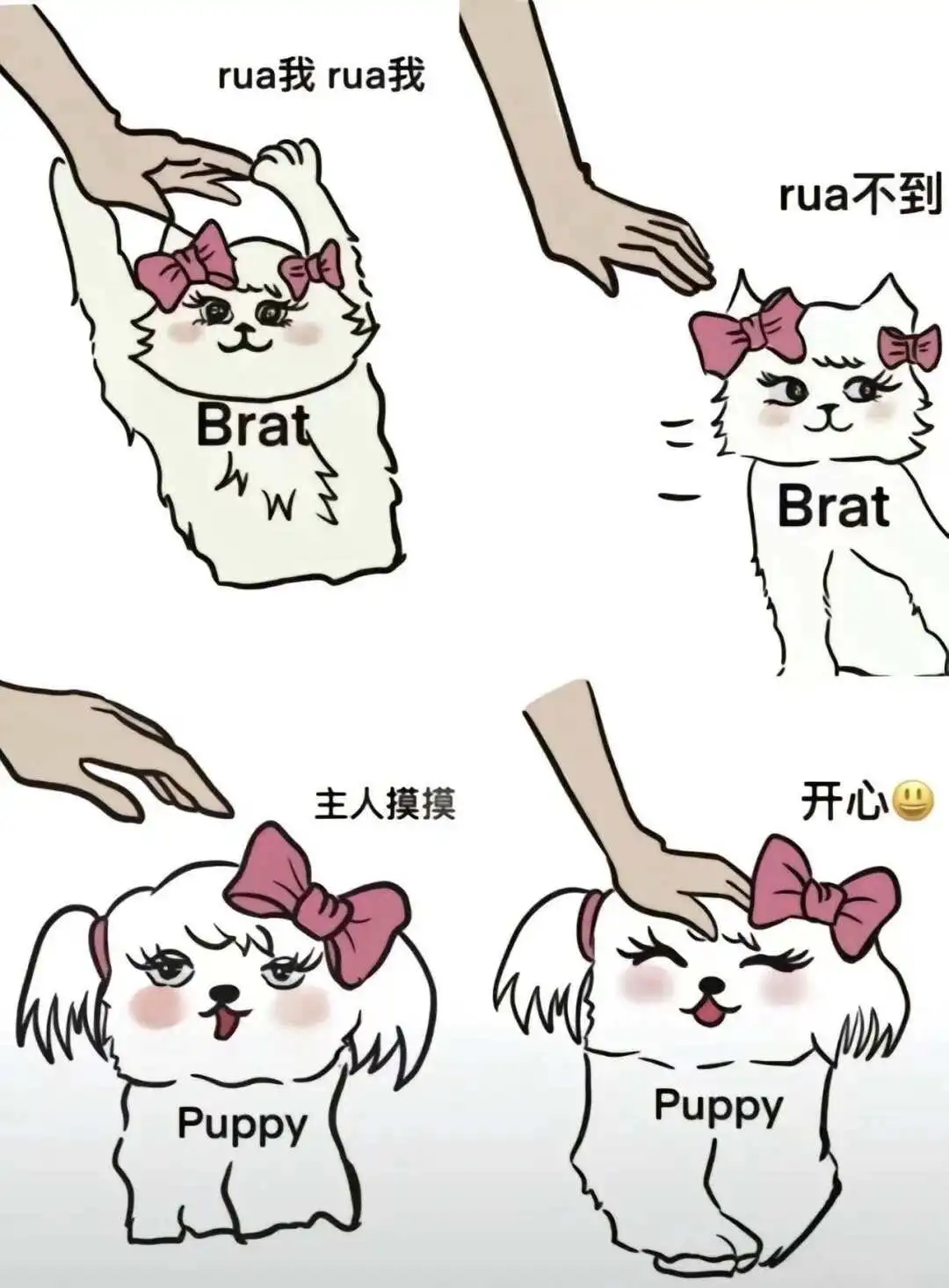 西檬之家k8是什么?你的字母圈属性是什么? 一